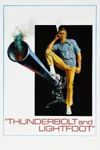 Affiche de Le Canardeur