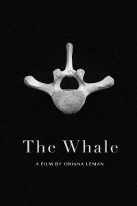 Affiche de The Whale
