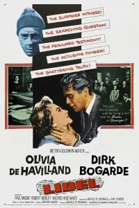 Affiche de Libel