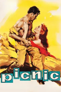 Affiche de Picnic