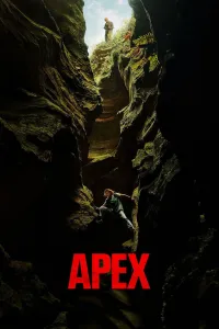 Affiche de Apex
