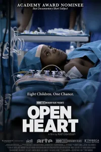 Affiche de Open Heart
