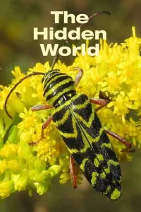 Affiche de The Hidden World