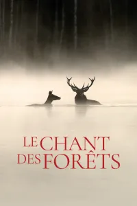 Affiche de Le Chant des forêts