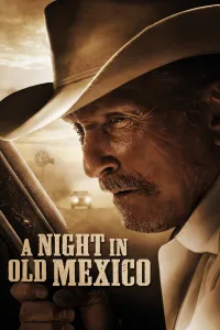 Affiche de Une nuit au Vieux-Mexique