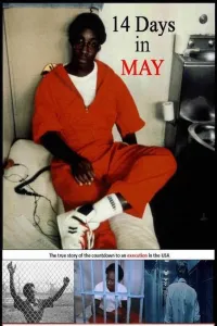 Affiche de Fourteen Days in May