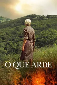 Affiche de Viendra le feu