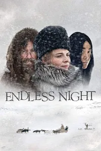 Affiche de Personne n'attend la nuit