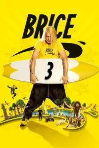 Affiche de Brice 3