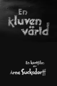 Affiche de En kluven värld