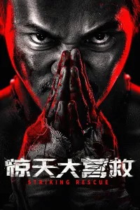 Affiche de Striking Rescue