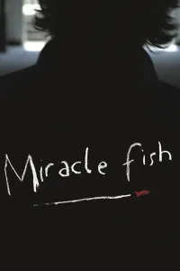 Affiche de Miracle Fish