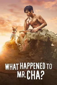 Affiche de What Happened to Mr Cha?