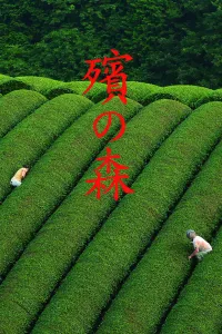 Affiche de La forêt de Mogari