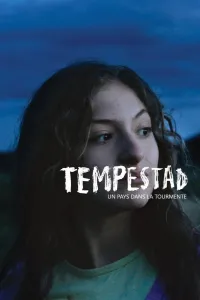 Affiche de Un pays dans la tourmente