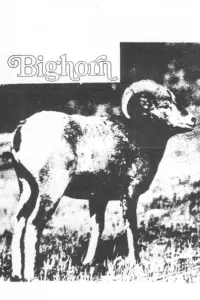 Affiche de Bighorn