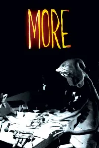 Affiche de More