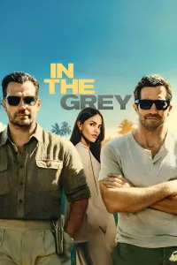 Affiche de In the Grey