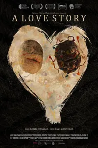 Affiche de A Love Story