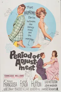Affiche de Period of Adjustment