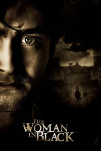 Affiche de La Dame en noir