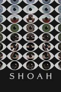 Affiche de Shoah