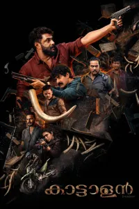 Affiche de Kattalan