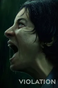 Affiche de Violation