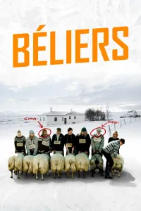 Affiche de Béliers
