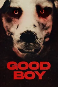 Affiche de Good Boy