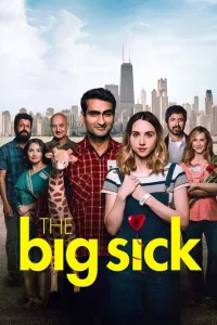 Affiche de The Big Sick