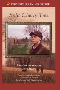 Affiche de Split Cherry Tree