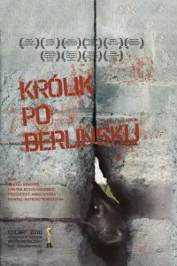 Affiche de Rabbit à la Berlin