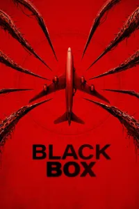 Affiche de Black Box