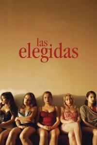Affiche de Les élues