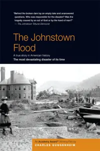 Affiche de The Johnstown Flood