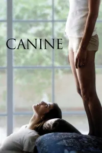 Affiche de Canine