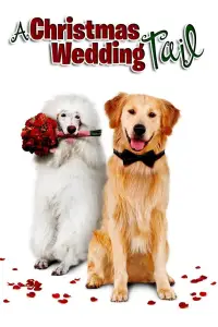 Affiche de Un mariage en cadeau