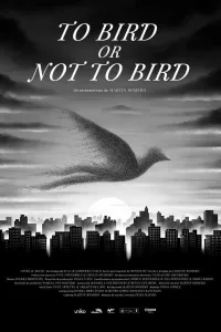 Affiche de To Bird or Not to Bird