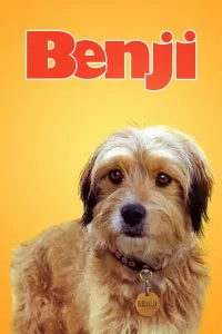 Affiche de Benji