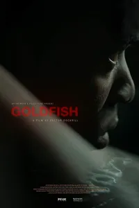 Affiche de Goldfish