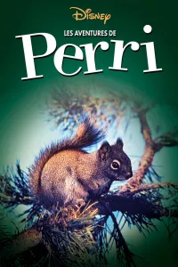 Affiche de Les aventures de Perri