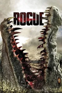 Affiche de Solitaire