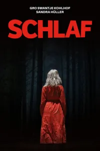 Affiche de Sleep
