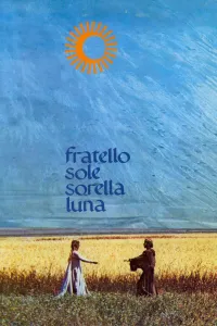 Affiche de François et le chemin du soleil