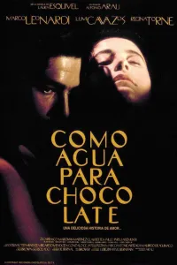 Affiche de Les épices de la passion