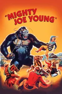 Affiche de Monsieur Joe
