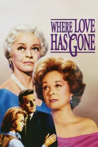 Affiche de Where Love Has Gone