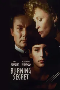 Affiche de Burning Secret