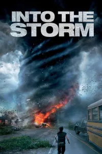 Affiche de Black Storm